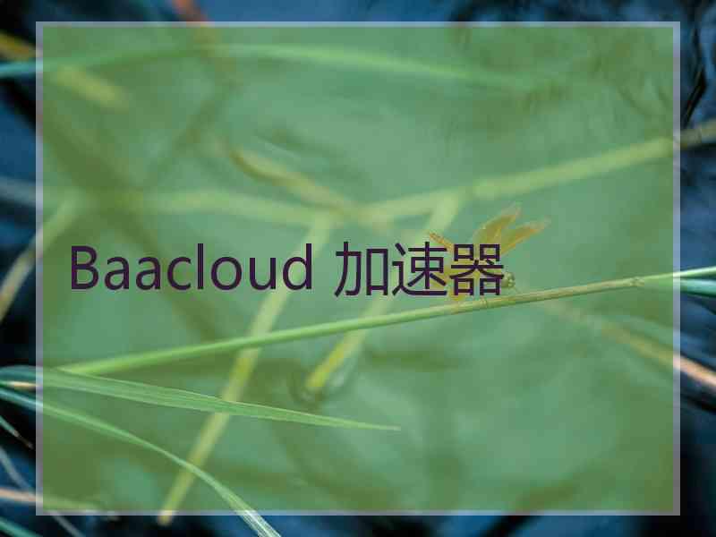 Baacloud 加速器