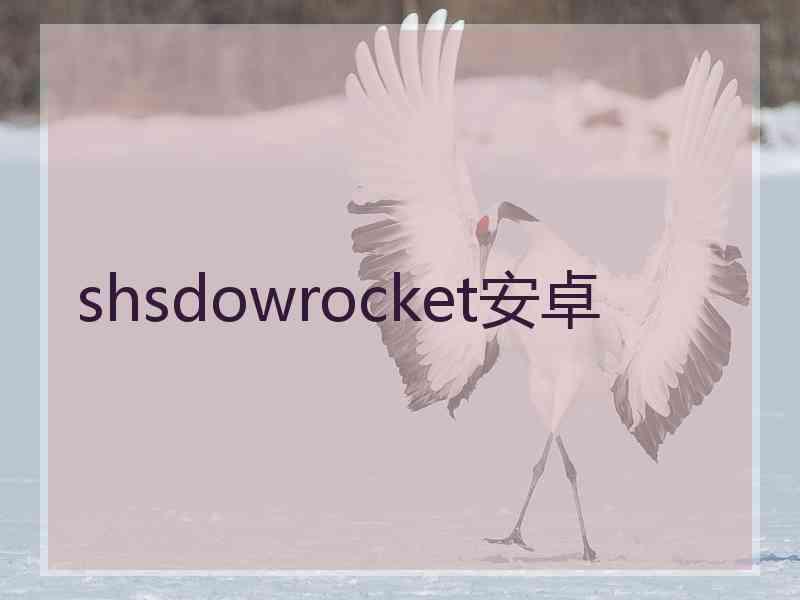shsdowrocket安卓