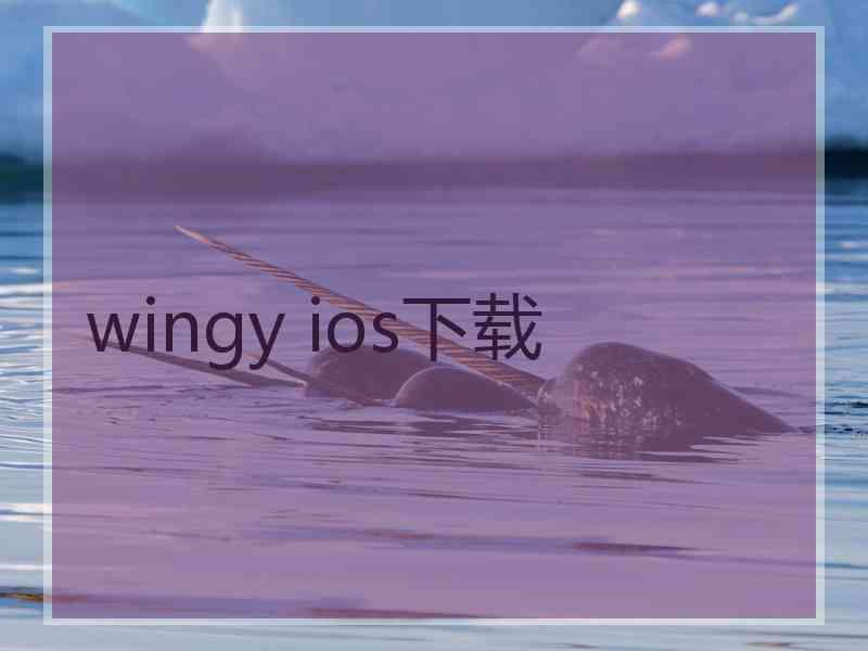 wingy ios下载