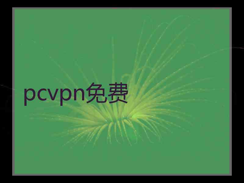 pcvpn免费 pcvpn免费