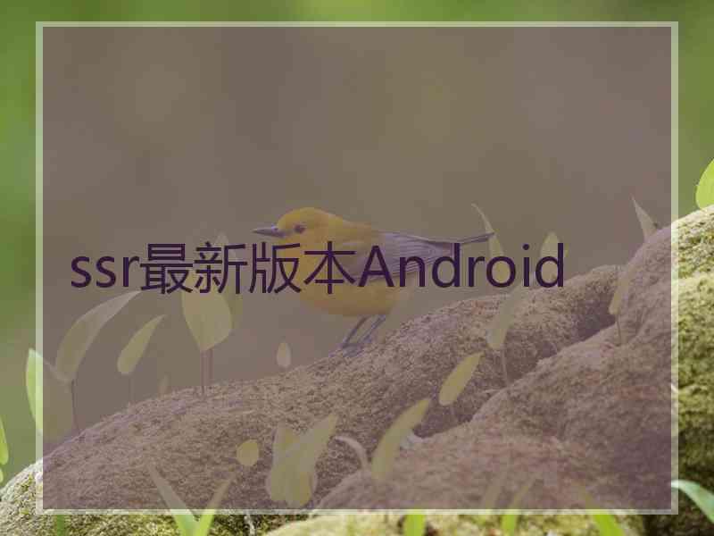 ssr最新版本Android