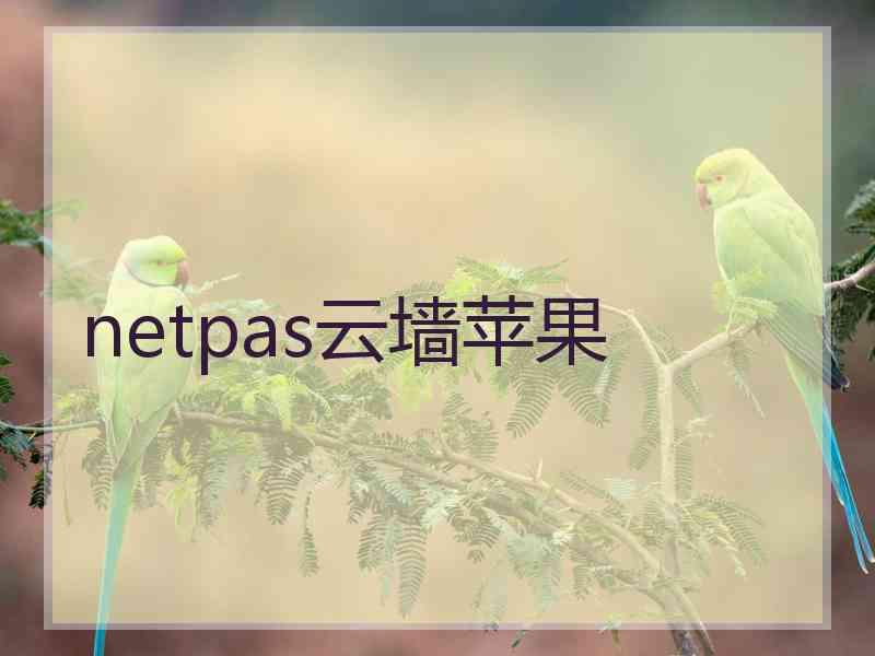 netpas云墙苹果 netpas云墙苹果