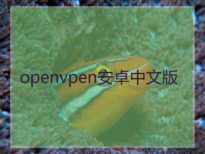 openvpen安卓中文版