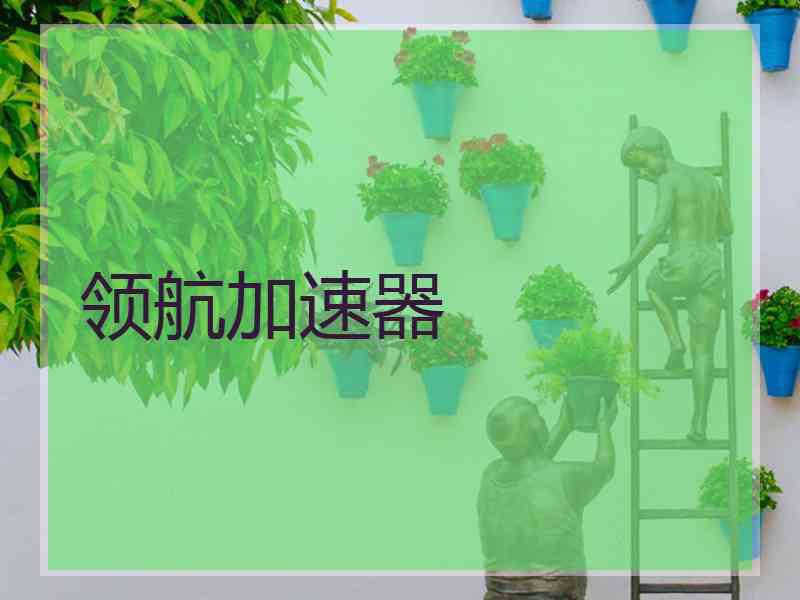 领航加速器 领航加速器