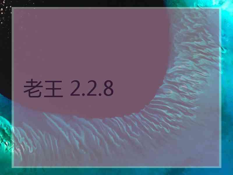 老王 2.2.8