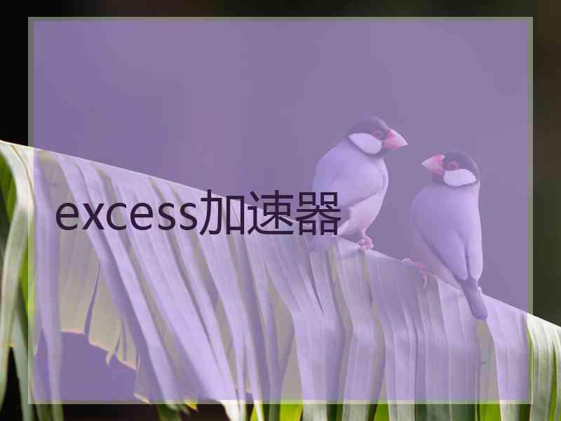 excess加速器
