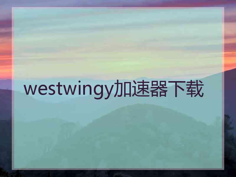 westwingy加速器下载