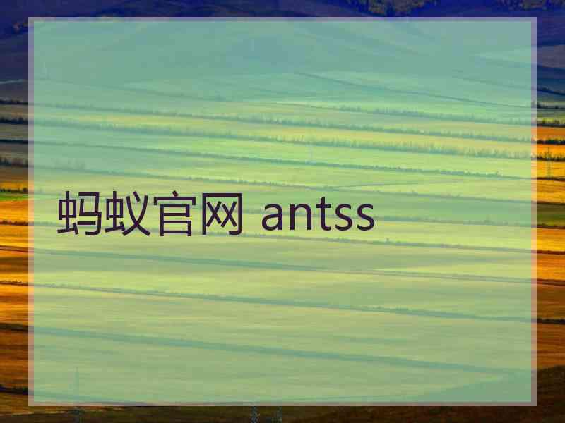 蚂蚁官网 antss