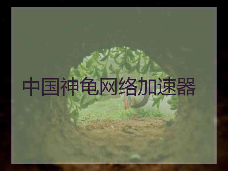 中国神龟网络加速器
