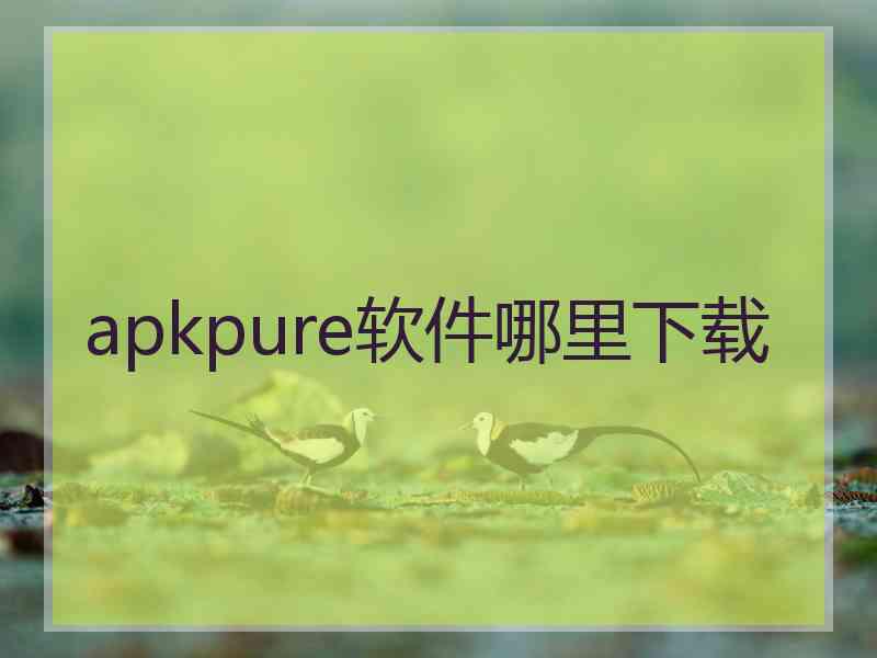 apkpure软件哪里下载