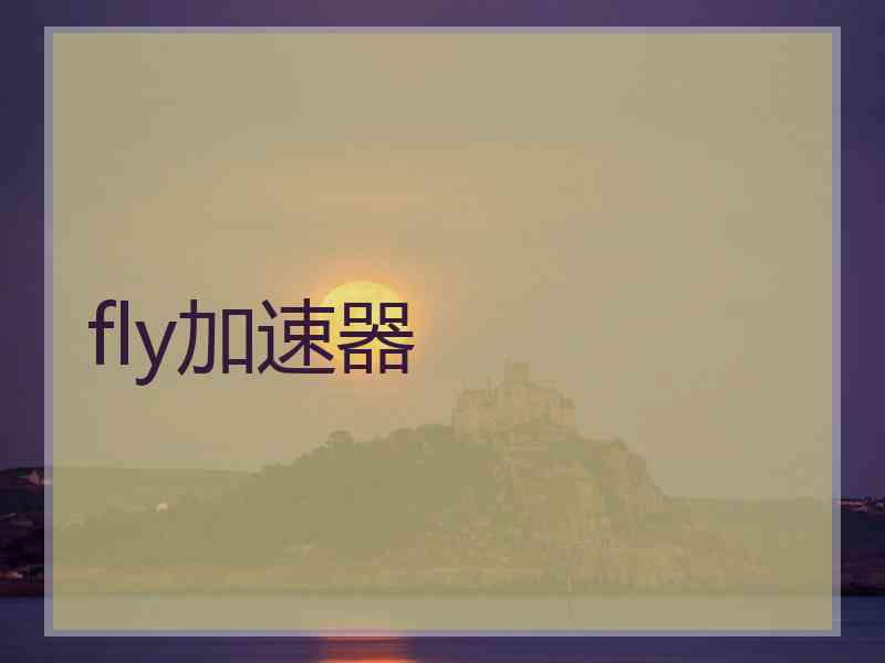 fly加速器