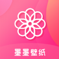 电脑搭梯子教程