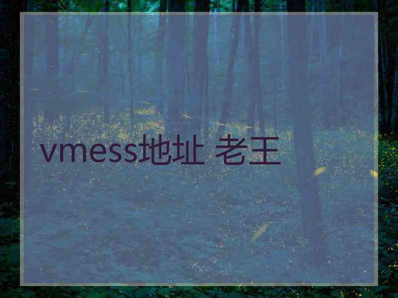 vmess地址 老王