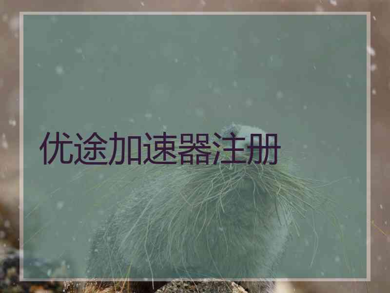 优途加速器注册