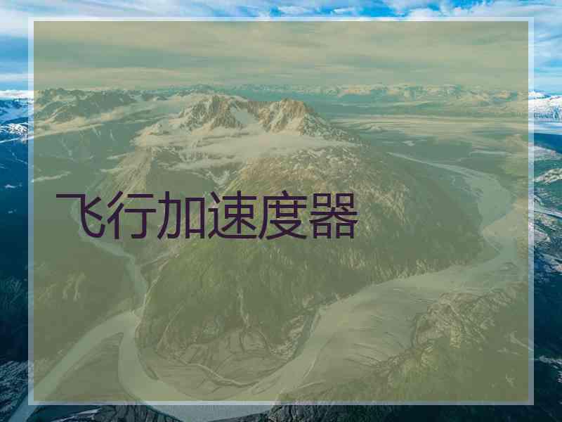 飞行加速度器
