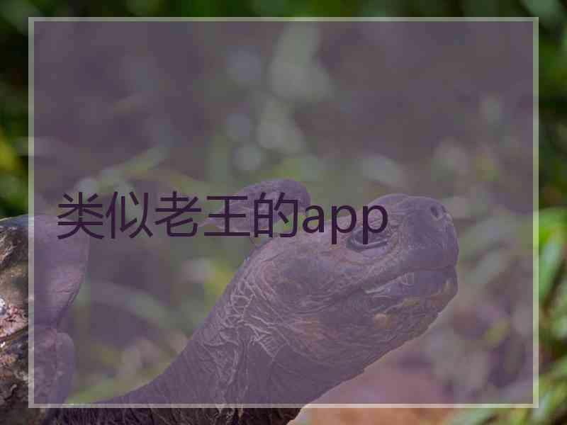 类似老王的app