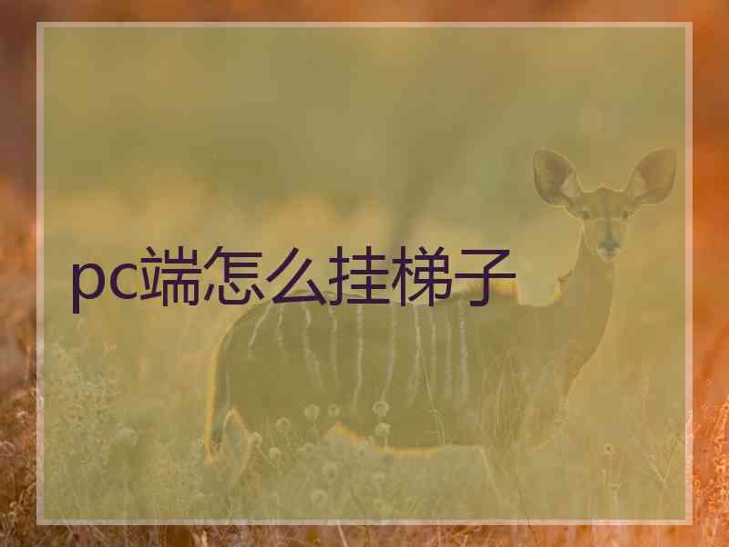 pc端怎么挂梯子