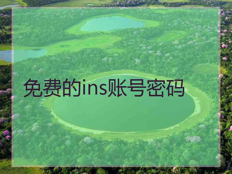 免费的ins账号密码