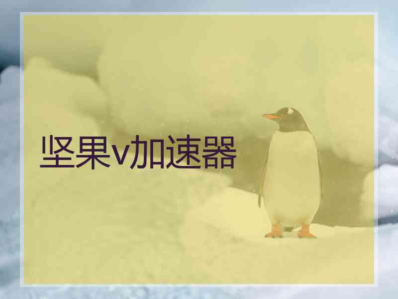 坚果v加速器