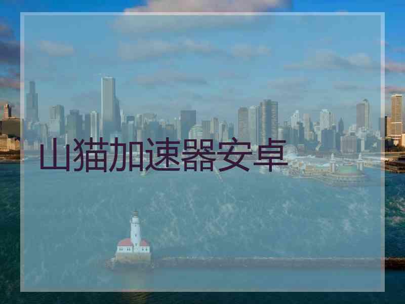 山猫加速器安卓