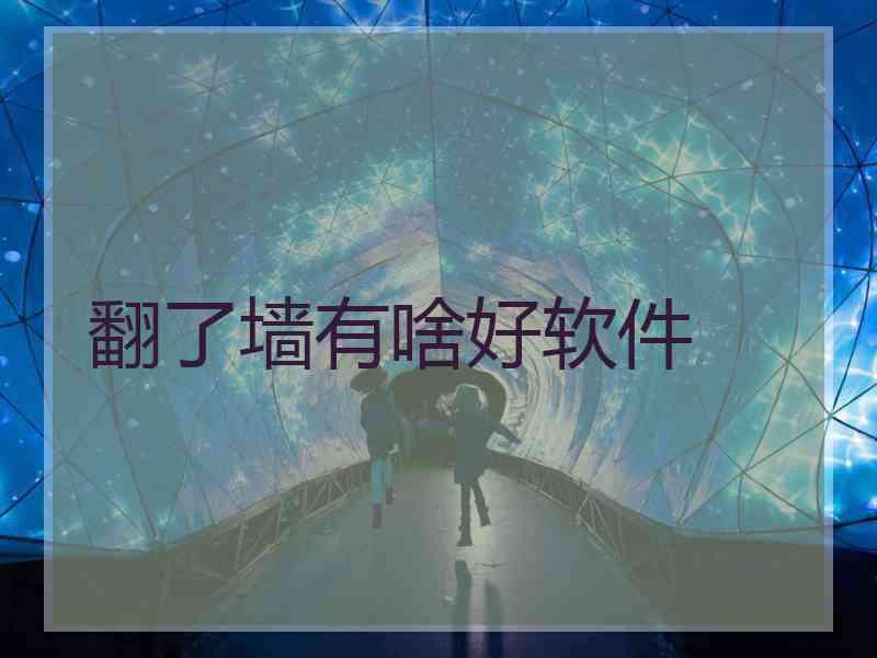翻了墙有啥好软件