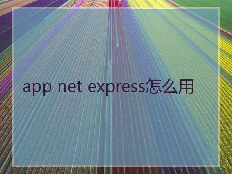 app net express怎么用