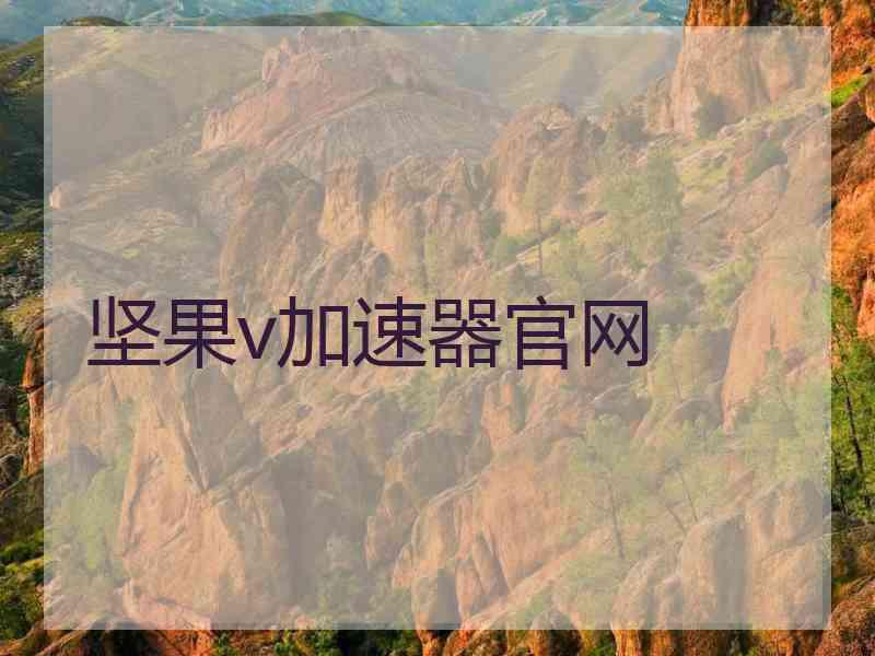 坚果v加速器官网