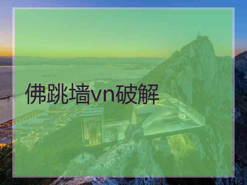 佛跳墙vn破解