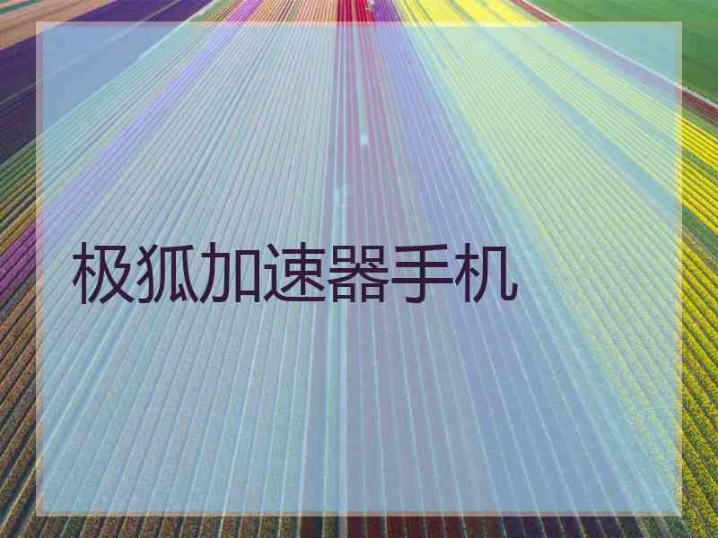 极狐加速器手机