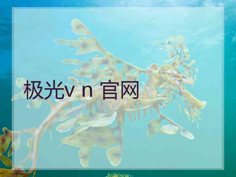极光v n 官网