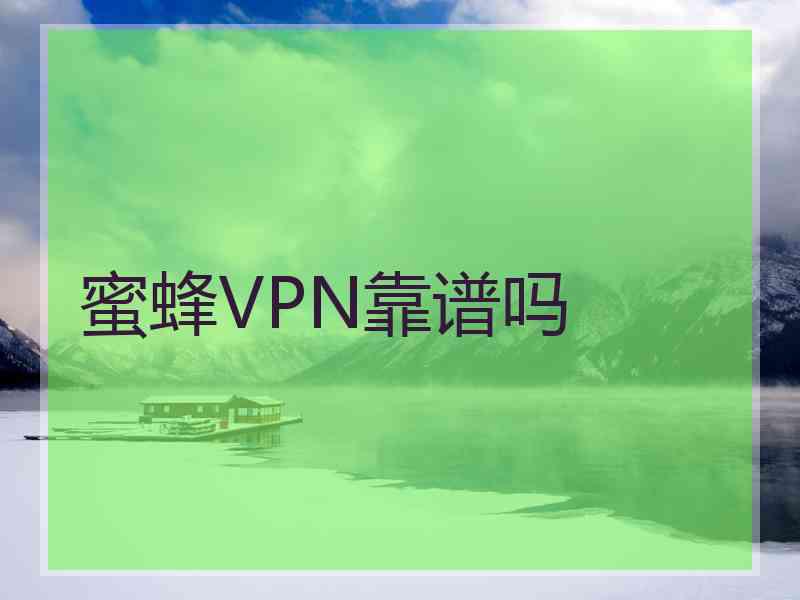蜜蜂VPN靠谱吗