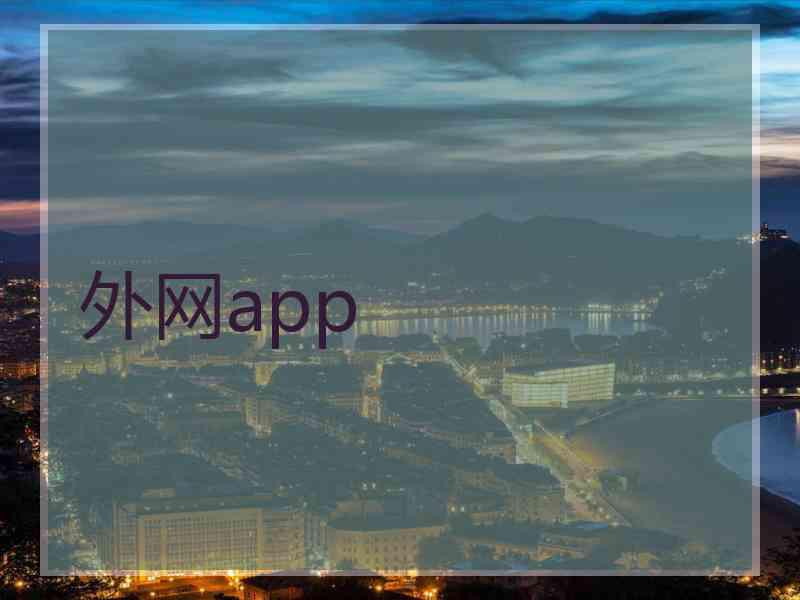 外网app