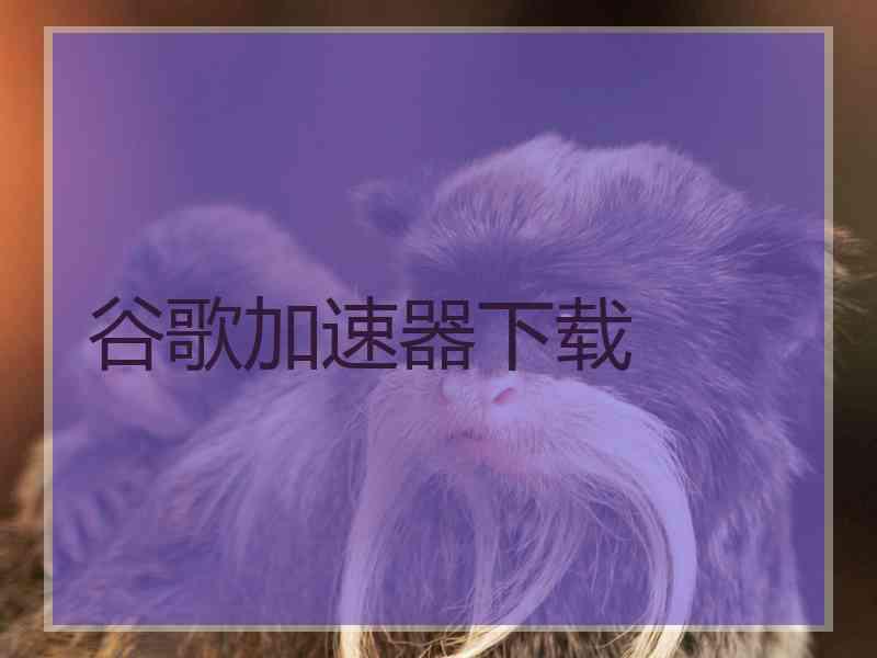 谷歌加速器下载