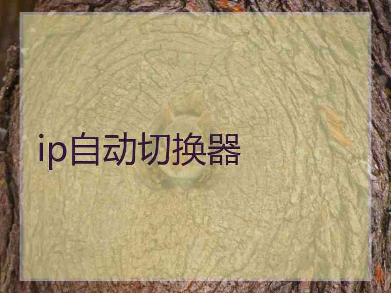 ip自动切换器