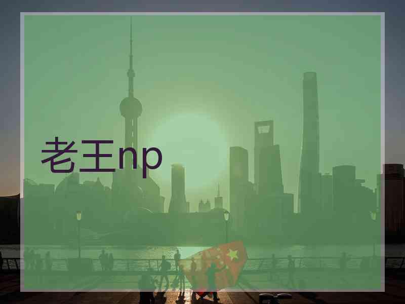 老王np