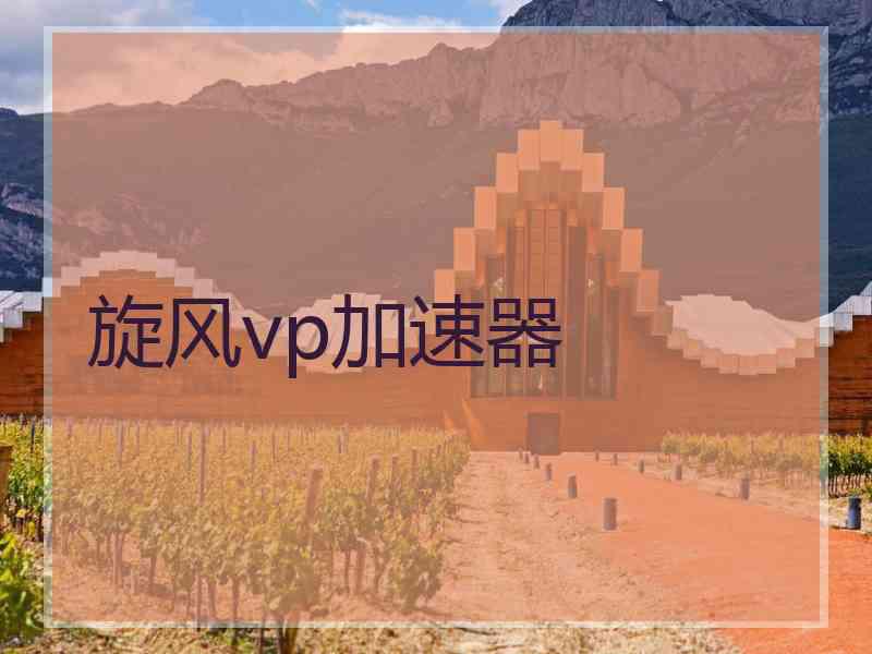 旋风vp加速器
