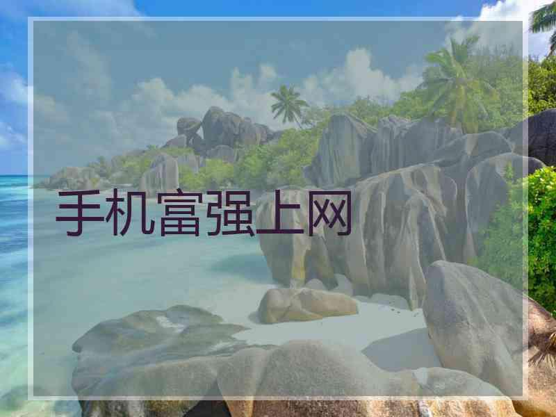 手机富强上网