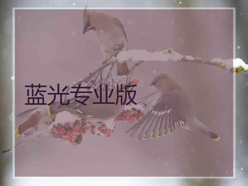 蓝光专业版