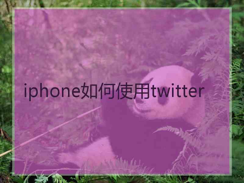 iphone如何使用twitter