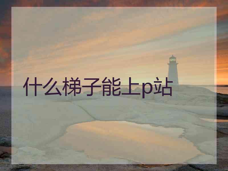 什么梯子能上p站