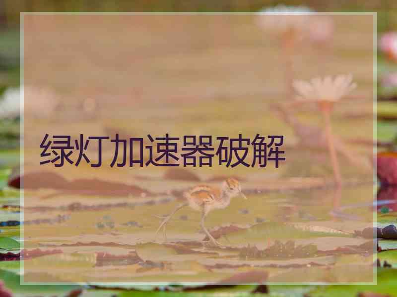 绿灯加速器破解