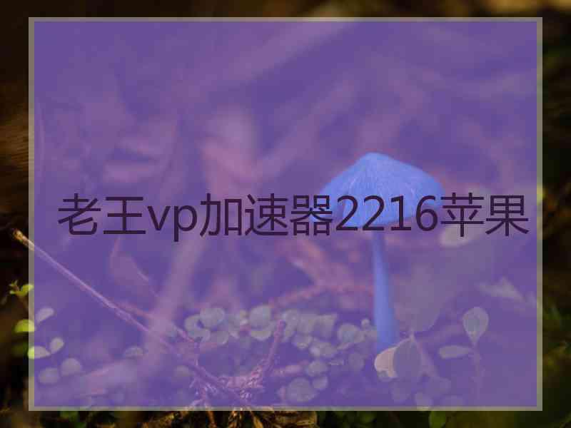 老王vp加速器2216苹果