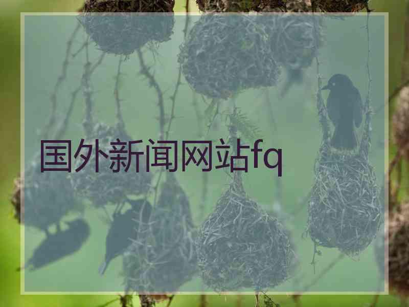 国外新闻网站fq