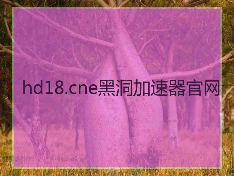 hd18.cne黑洞加速器官网