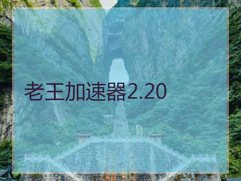 老王加速器2.20