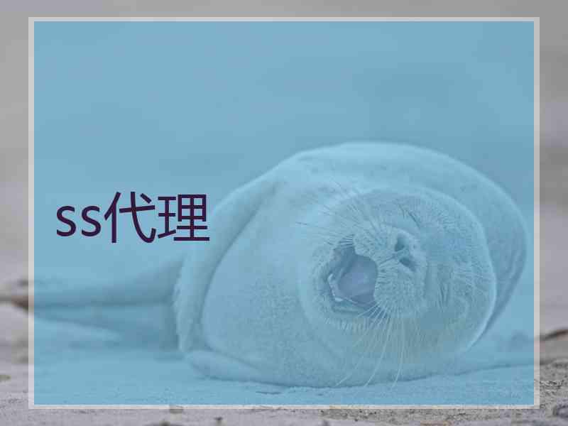 ss代理