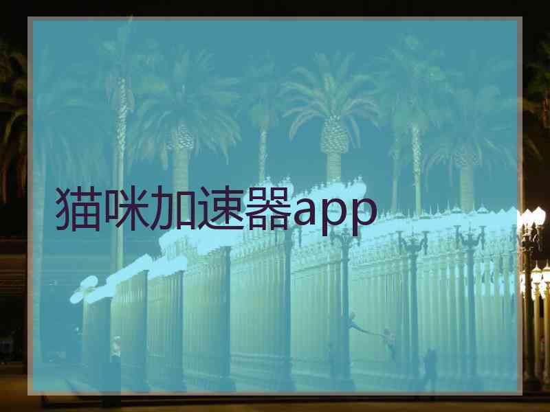 猫咪加速器app