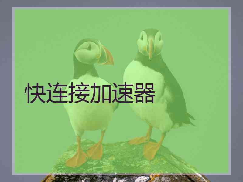快连接加速器