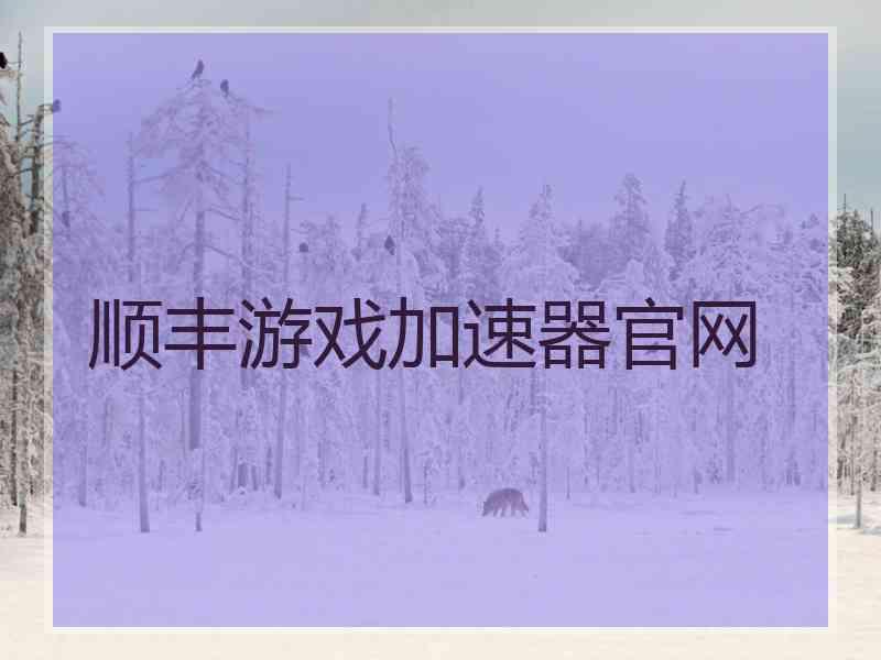 顺丰游戏加速器官网