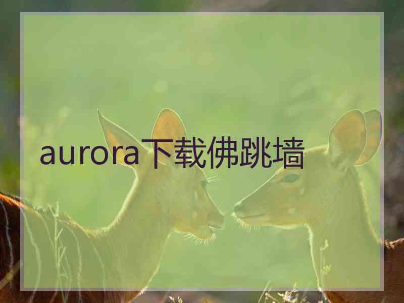 aurora下载佛跳墙